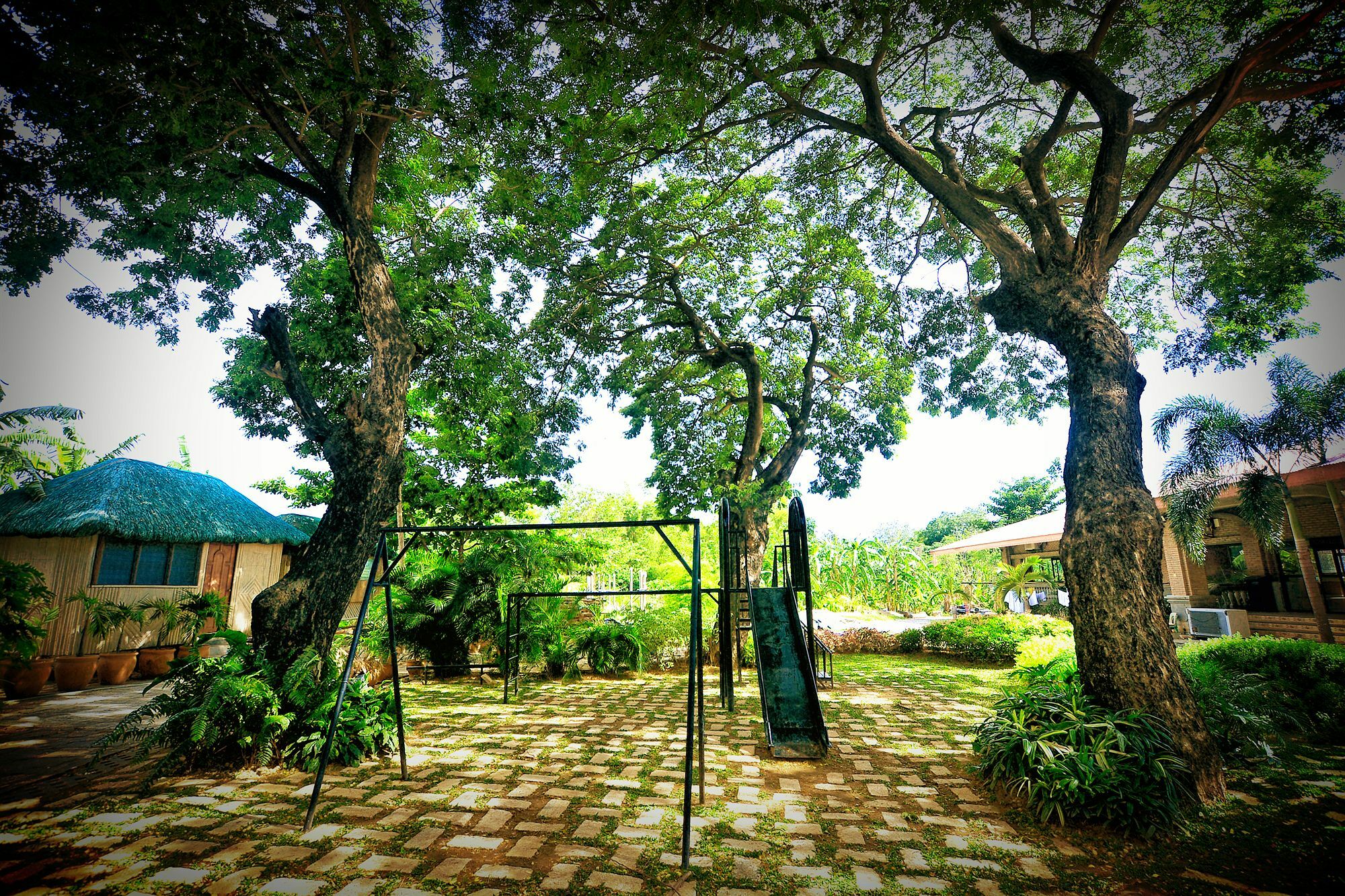Reddoorz Plus Near Vigan Convention Center Extérieur photo